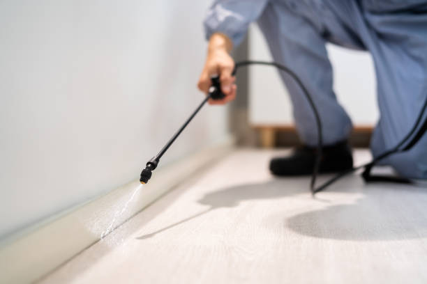 Certified termite inspector examining foundation in Bratenahl
